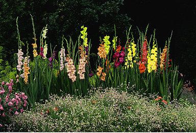 《现代战争2》已解锁内容支持继承到《现代战争3》